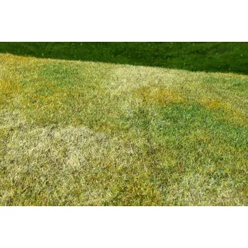 Víno Sečená louka pozdní léto