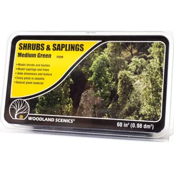 Sazenice Foliáž - Keře a sazenice - Středně zelená