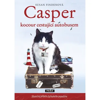 Casper, kocour cestující autobusem - Skutečný příběh čtyřnohého pasažéra