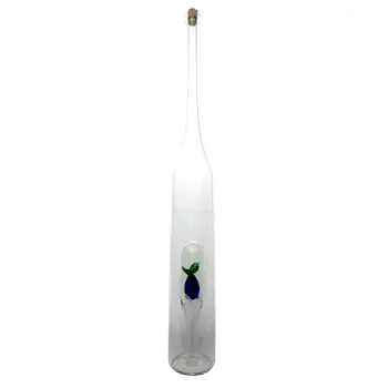 Sklenice Láhev švestka