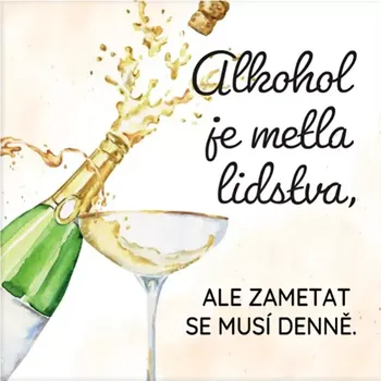 Dekorativní magnet Albi Magnetka s textem Alkohol je metla lidstva