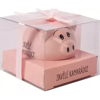 Pokladnička Albi Pokladnička Prasátko Skvělé kamarádce