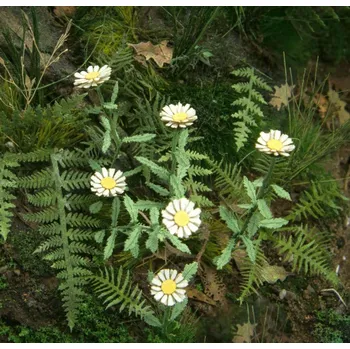 Plastikový model Kopretina - 1:35