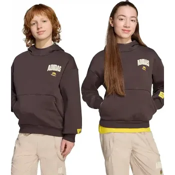 Chlapecká mikina Dětská mikina adidas hnědá barva, s kapucí, s potiskem, JL9181 89X, vel. 176