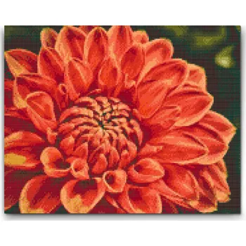 Diamantové malování Diamantové malování - Červená jiřina Velikost: 30x40cm, Rámování: Pouze srolované plátno, Diamanty: Kulaté