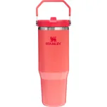 STANLEY 1913 IceFlow Flip Straw Tumbler…