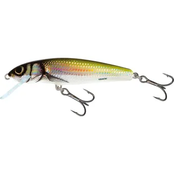 Nástraha SALMO ® Wobler Salmo MINNOW HBL *: Wobler Salmo MINNOW HBL 6,0cm Sinking
