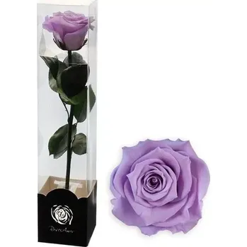 umělá květina Stabilizovaná růže na stonku 60cm lila