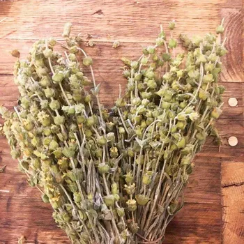 Čaj ŘECKÝ HORSKÝ ČAJ MALOTIRA hojník GENUS SIDERITIS STÉBLA 75G