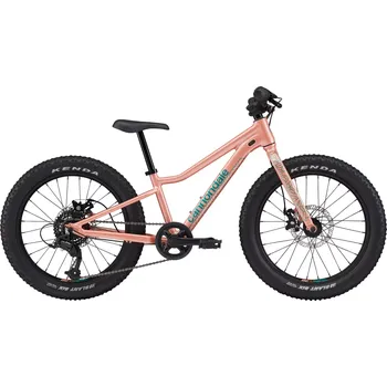 Dětské kolo Cannondale Kids Trail Plus 20" 2025