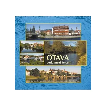Umění Otava perla mezi řekami - Jan Kavale, Břetislav Pojar, Vladimír Horpeniak