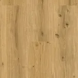 Ecoline Click 9592 Dub královský přírodní - Rigid