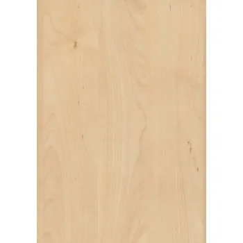 AbsEG H3840 ST9 22*0,4 Doprodej 4