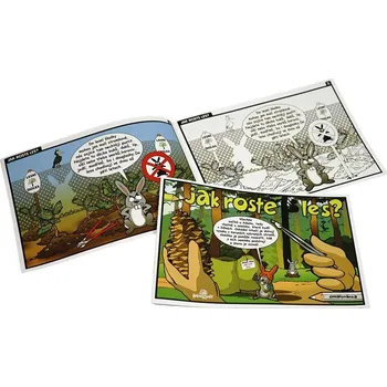 omalovánky Papírová omalovánka - Jak roste les