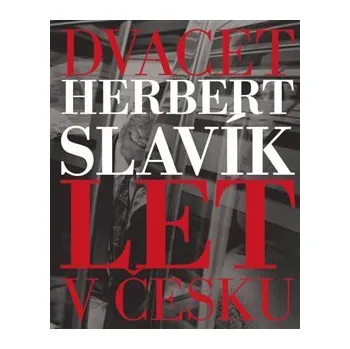 Umění Dvacet let v Česku - Herbert Slavík
