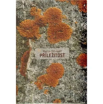 Příležitost - Martin Dosoudil