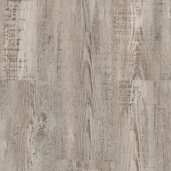 Objectline Click 5700 Borovice horská - Rigid