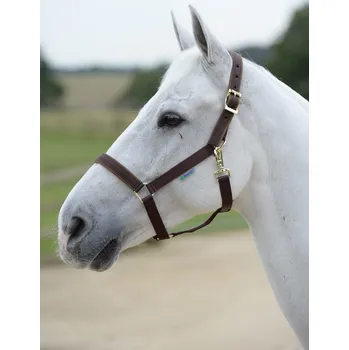 Vybavení pro koně Bucas Ohlávka Dublin Bucas, hnědá COB