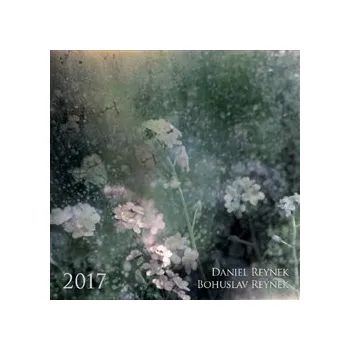 Kalendář Kalendář Daniel a Bohuslav Reynkovi 2017 - Daniel Reynek, Bohuslav Reynek