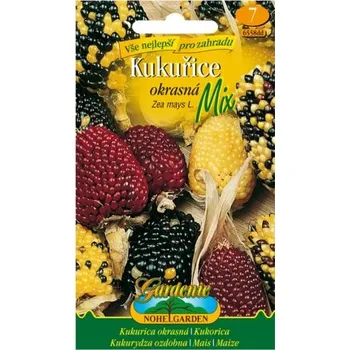 Semeno Nohel Garden Kukuřice okrasná mix
