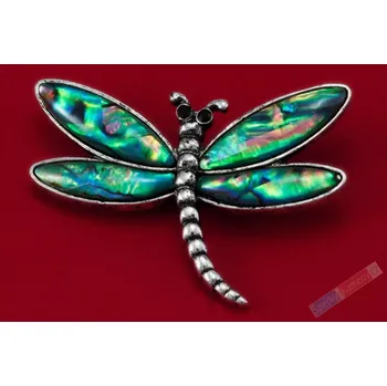 Brož Brož z perleti paua ve tvaru vážky, cca 53 x 38 mm (BP1028V)