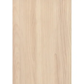 Stavební materiál L H3860 ST9 2800*2070*18