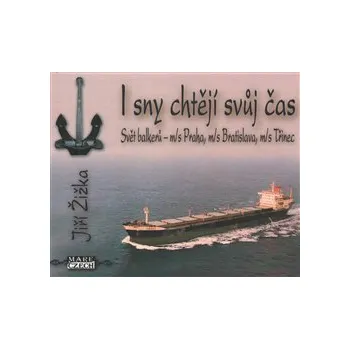 I sny chtějí svůj čas - Jiří Žižka