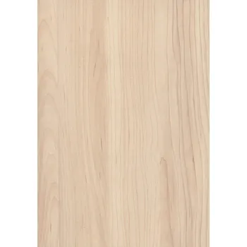 Vánoční dekorace AbsEG H3860 ST9 43*2