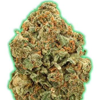 Semeno Monster Genetics - Monster Moby 3 ks