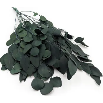 mech-mech.cz Stabilizovaný eukalyptus Populus - láhvově zelený