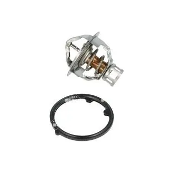 Těsnění motoru Termostat, chladivo NRF 725142