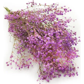 mech-mech.cz Stabilizovaný Šater - (Gypsophila) - pastelově fialová