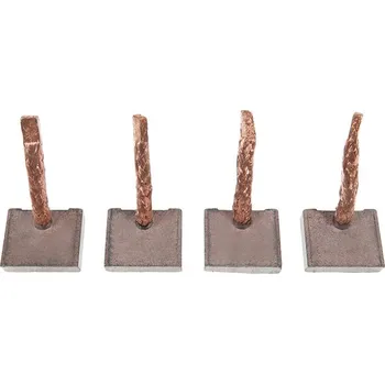 Startér Uhlíkový kartáč, startér AS-PL SB1008