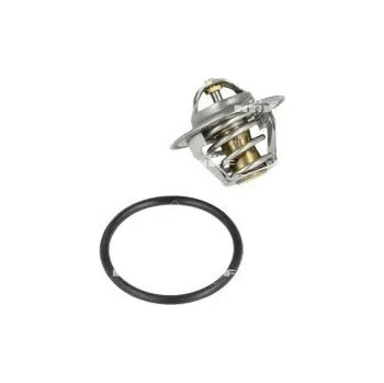 Těsnění motoru Termostat, chladivo NRF 725212
