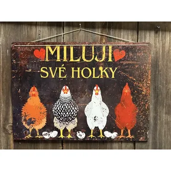 Plechová cedule Cedule MILUJI SVÉ HOLKY 40x28,5 cm