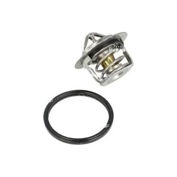 Těsnění motoru Termostat, chladivo NRF 725080