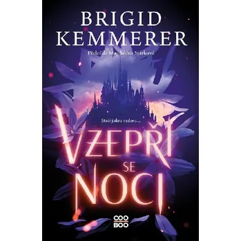 Vzepři se noci - Brigid Kemmerer (2025, brožovaná)