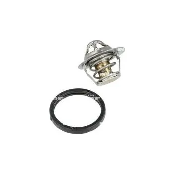 Těsnění motoru Termostat, chladivo NRF 725159