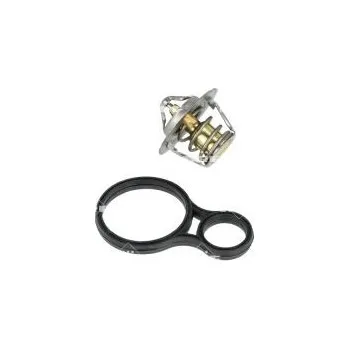 Těsnění motoru Termostat, chladivo NRF 725094