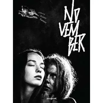 Zahraniční hudba DVD November: November 2018