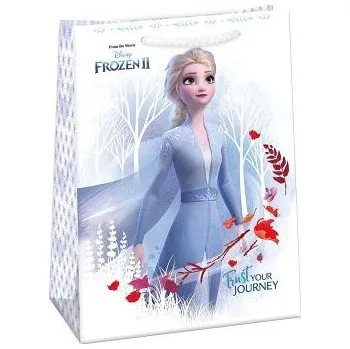 Dárková taška ARGUS Papírová dárková taška 77860690 T14