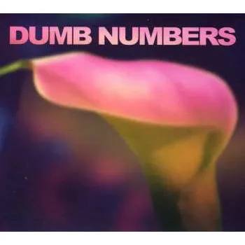 Zahraniční hudba CD Dumb Numbers: Dumb Numbers 2013