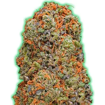 Semeno Monster Genetics - Monster Gelato 3 ks
