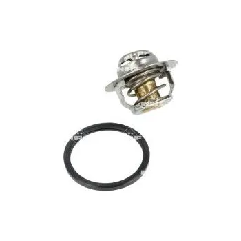 Těsnění motoru Termostat, chladivo NRF 725089
