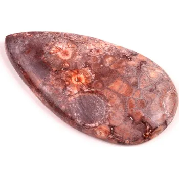 Korálek Kabošon Birds Eye Jasper č.2165 (48x26x6mm)