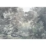 Fototapeta vliesová R4-060 Vlies Fototapeta Fairytale Forest 400x280 cm