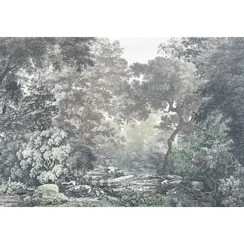 Fototapeta Fototapeta vliesová R4-060 Vlies Fototapeta Fairytale Forest 400x280 cm