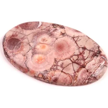 Korálek Kabošon Birds Eye Jasper č.2152 (47x28x5mm)