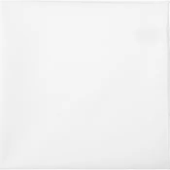 Kravata Avantgard Kapesníček do saka LUX bílá 583-5148