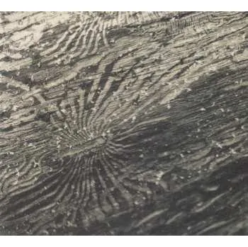 Zahraniční hudba CD Raphael Rogiński: Talan 2024